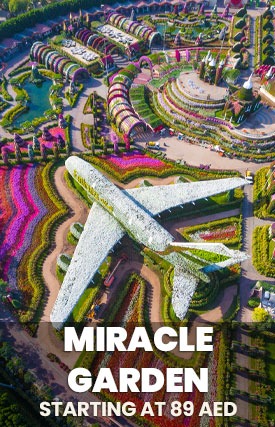 miracle-garden-contrail